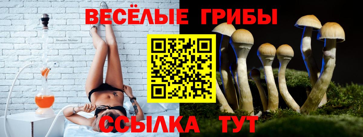 Галлюциногенные грибы Psilocybine cubensis  Вход с VPN  Крымск 